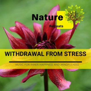 Withdrawal from Stress - Music for Inner Happiness and Mindfulness