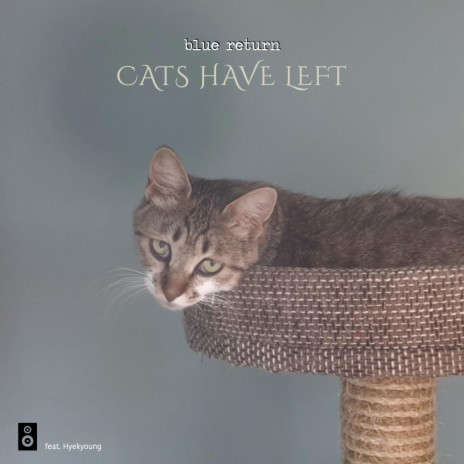 Cats Have Left | Boomplay Music