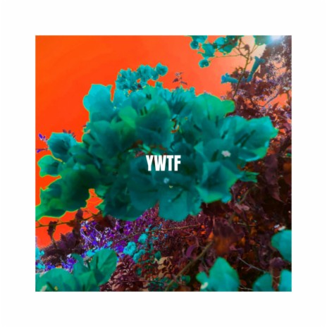 YWTF | Boomplay Music