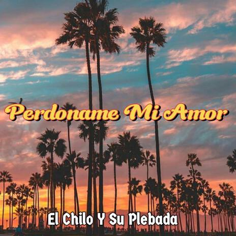 Perdoname Mi Amor | Boomplay Music