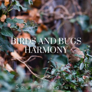 Birds and Bugs Harmony