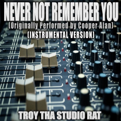 Never Not Remember You (Originally Performed by Cooper Alan) (Instrumental Version)