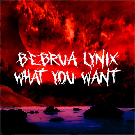 What You Want ft. lynix