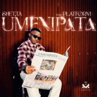 Umenipata ft. Platform lyrics | Boomplay Music
