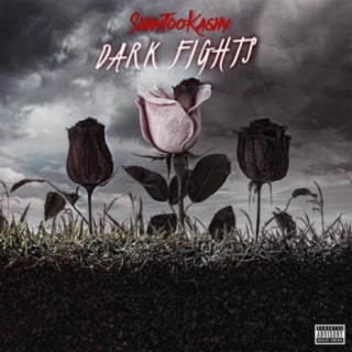 Dark Fights lyrics | Boomplay Music