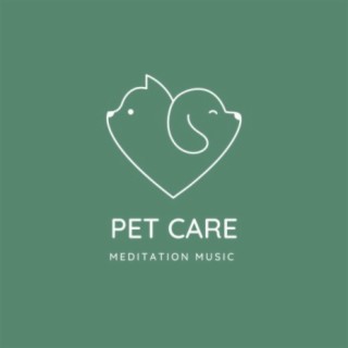 Pet Care Meditation Music 432Hz