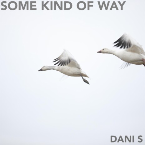 Some Kind Of Way (Acoustic English Version) | Boomplay Music