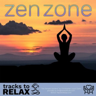Zen Zone Daytime Goals Meditation
