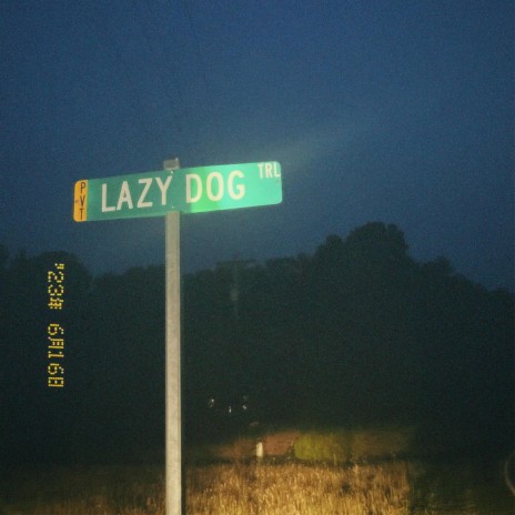 Lazy Dog | Boomplay Music