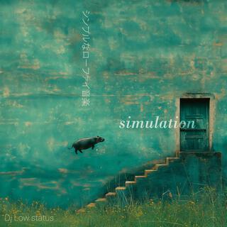 simulation