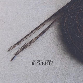 Reverie