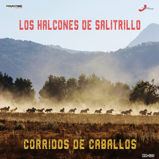 Corridos De Caballos