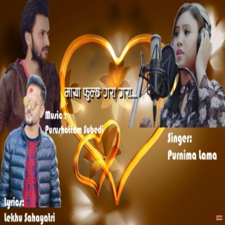 Maya Fulchha Gara Gara ft. Purnima Lama lyrics | Boomplay Music