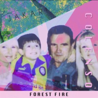 Forest Fire