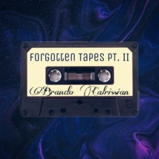 Forgotten Tapes Vol. II: The YouTube Collection