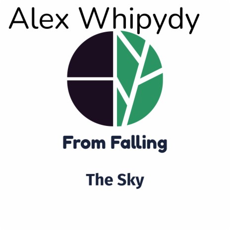 From Falling the Sky | Boomplay Music