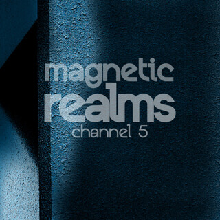 Magnetic Realms