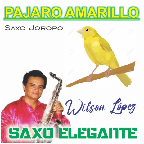 Pajaro Amarillo/Saxo Joropo | Boomplay Music