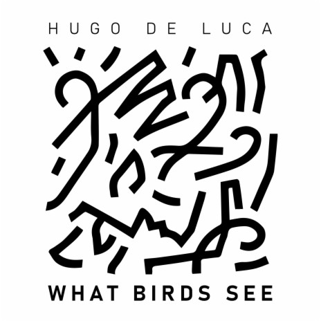 What Birds See | Boomplay Music
