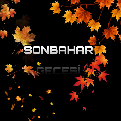 Sonbahar Gecesi | Boomplay Music