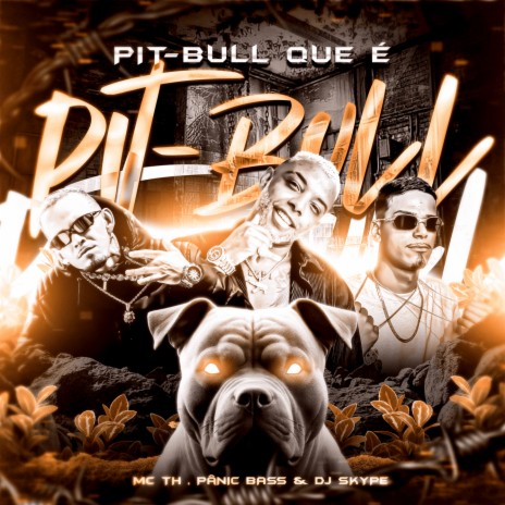 PitBull Que é Pitbull ft. PROJETO PÂNIC BASS | Boomplay Music