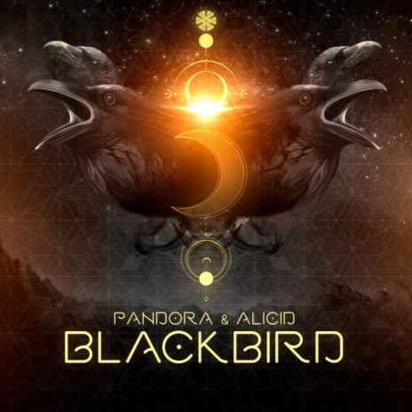 Black Bird (Original Mix) ft. Alicid | Boomplay Music