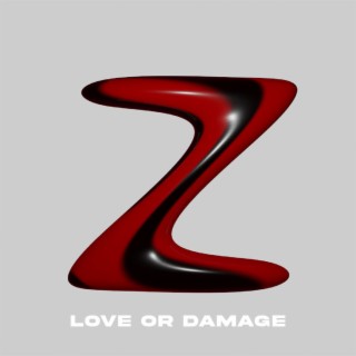 Love or Damage lyrics | Boomplay Music