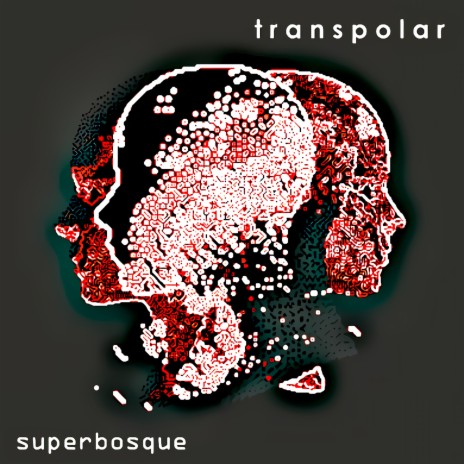 Transpolar | Boomplay Music