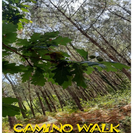 Camino Walk | Boomplay Music