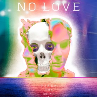 No Love ft. Roz & shezol lyrics | Boomplay Music