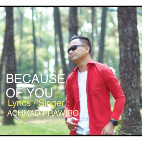 Because of You | Boomplay Music