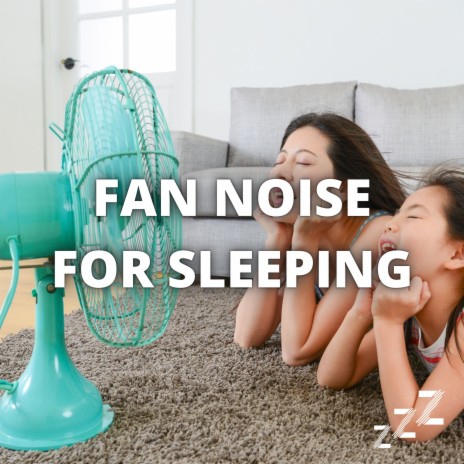 Fan Noise 30 Minutes (Loop) ft. White Noise Baby Sleep & Sleep Sounds