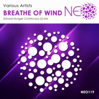 Breathe of Wind Continuous DJ Mix
