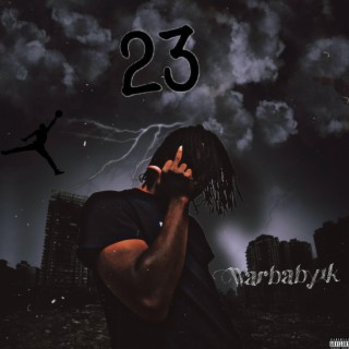 23