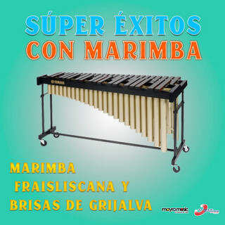 Súper Éxitos Con Marimba