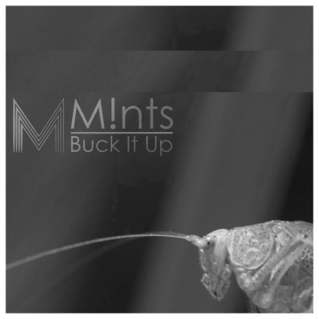 Buck It Up | Boomplay Music