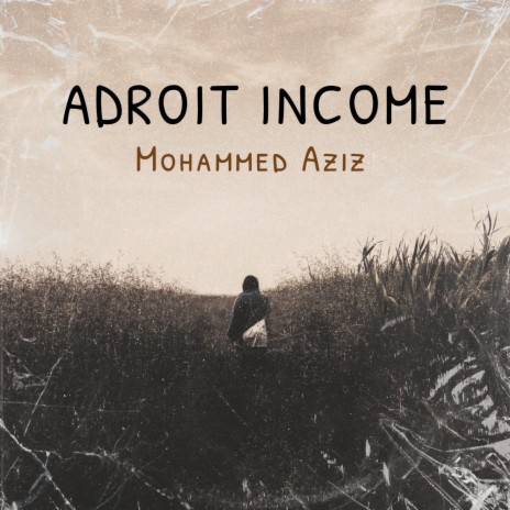 Adroit Income | Boomplay Music