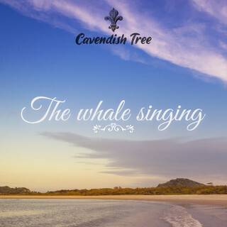 The Whale Singing