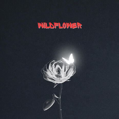 WildFlower | Boomplay Music