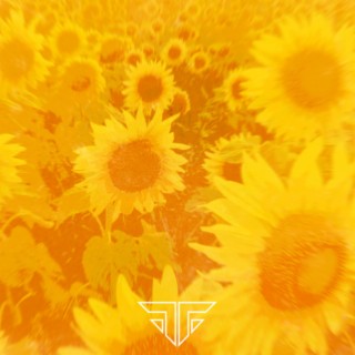 SunFlower lyrics | Boomplay Music