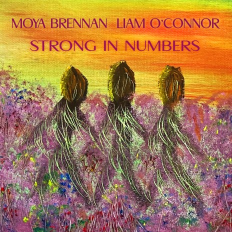 Strong in Numbers ft. Liam O'Connor | Boomplay Music