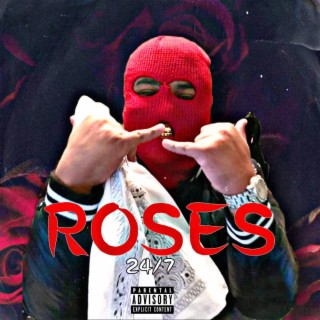 Roses 24/7