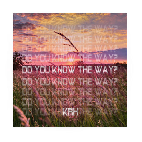 Do You Know The Way? | Boomplay Music