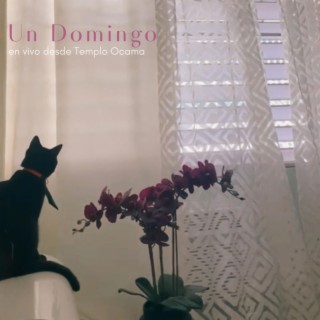 Un Domingo (En Vivo desde Templo Ocama) lyrics | Boomplay Music