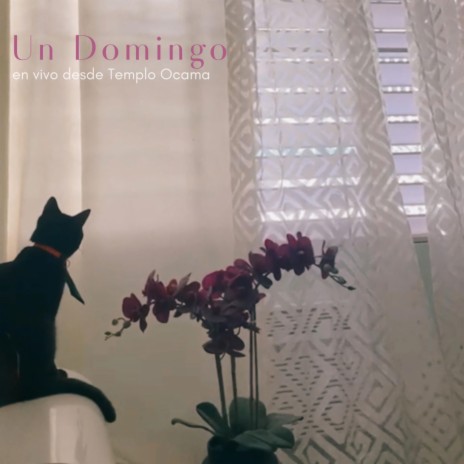 Un Domingo (En Vivo desde Templo Ocama) | Boomplay Music