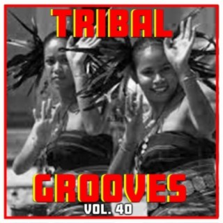 Tribal Grooves, Vol. 40