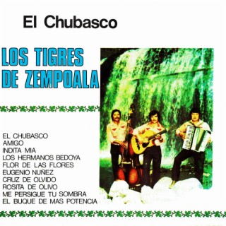 Los tigres de Zempoala