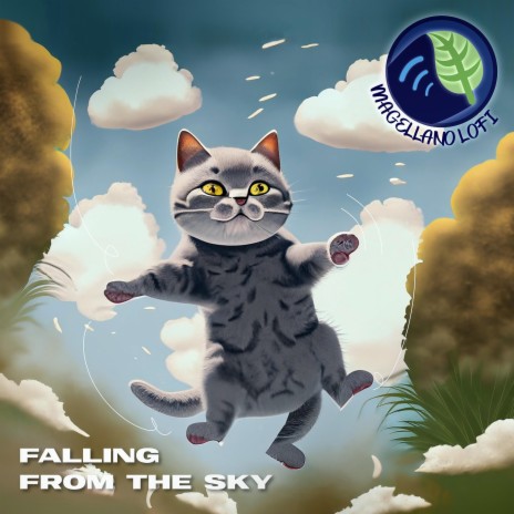 falling from the sky | Boomplay Music