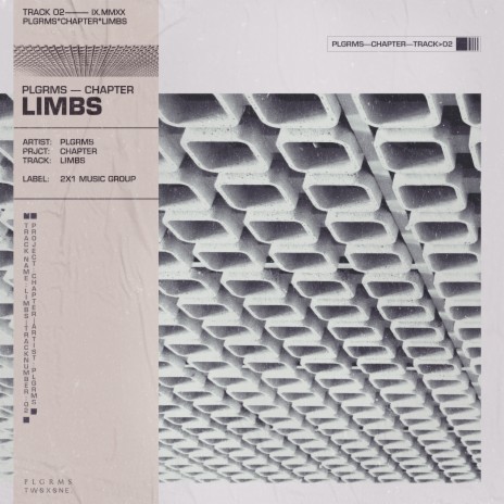 Limbs | Boomplay Music