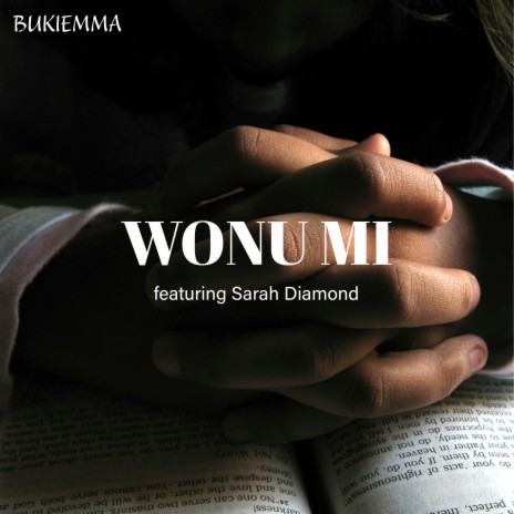 Wonu Mi ft. Sarah Diamond | Boomplay Music